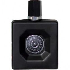 Denim Wild EDT
